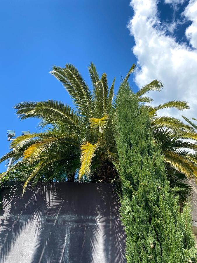 Calma Bungalows Portorož Buitenkant foto